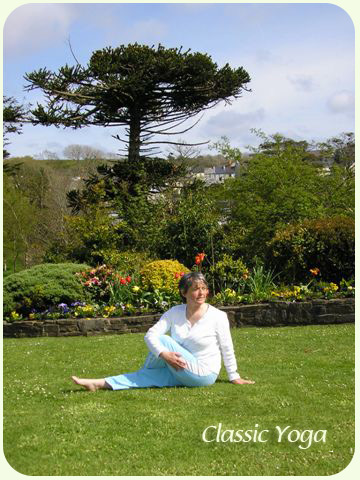 Yoga In County Clare Ireland Edeltraud Rohnfeld Chair Yoga And